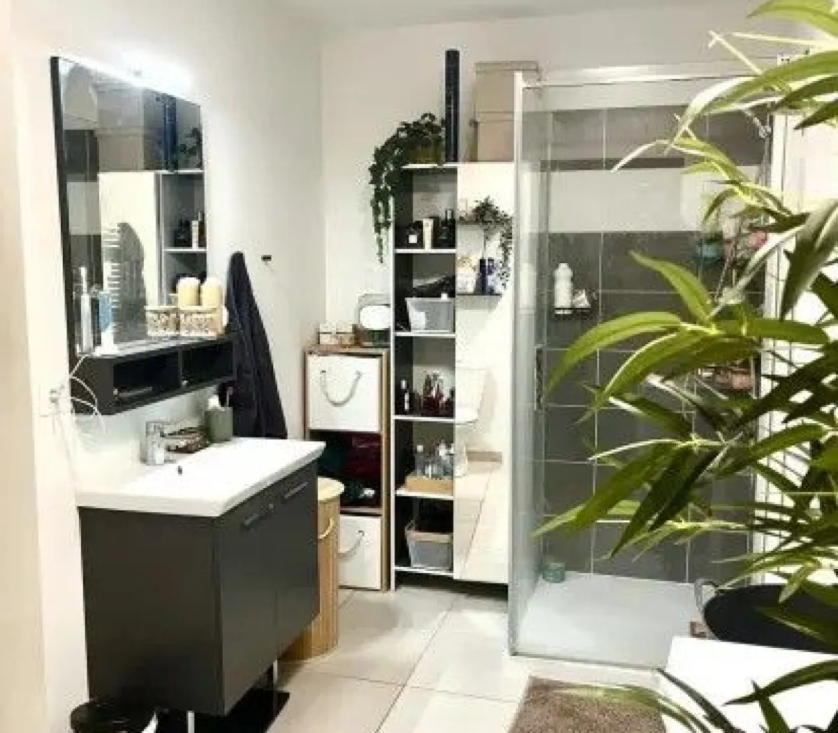 Location Bordeaux Appartement 67a4bc598811