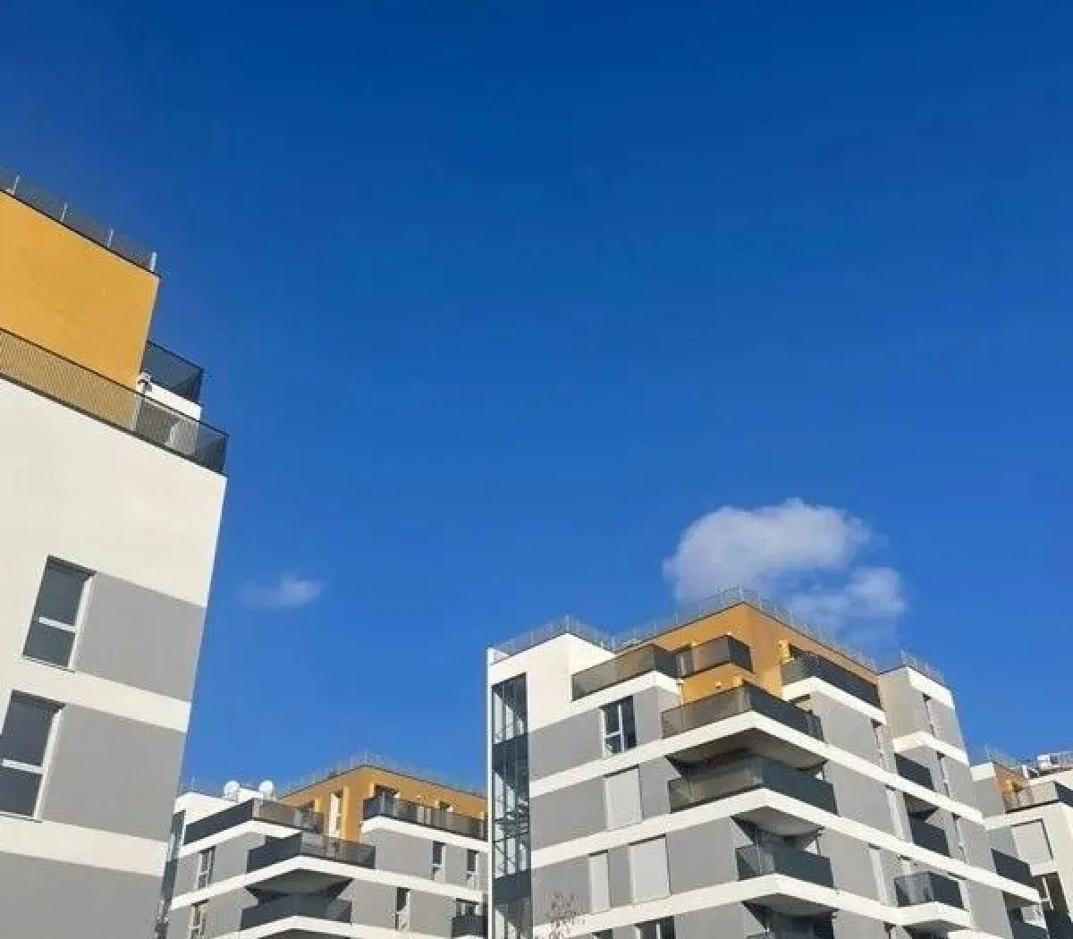 Location Rueil-Malmaison Appartement 67a5d607966b