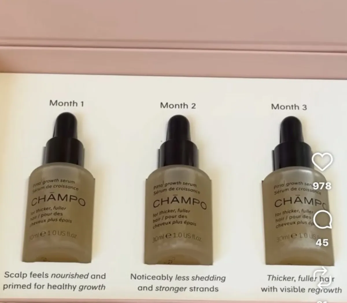 Location Nice Appartement 67a9e4545cca