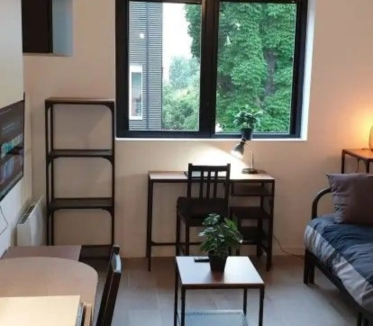 Location Toulouse Appartement 67b301db65ad