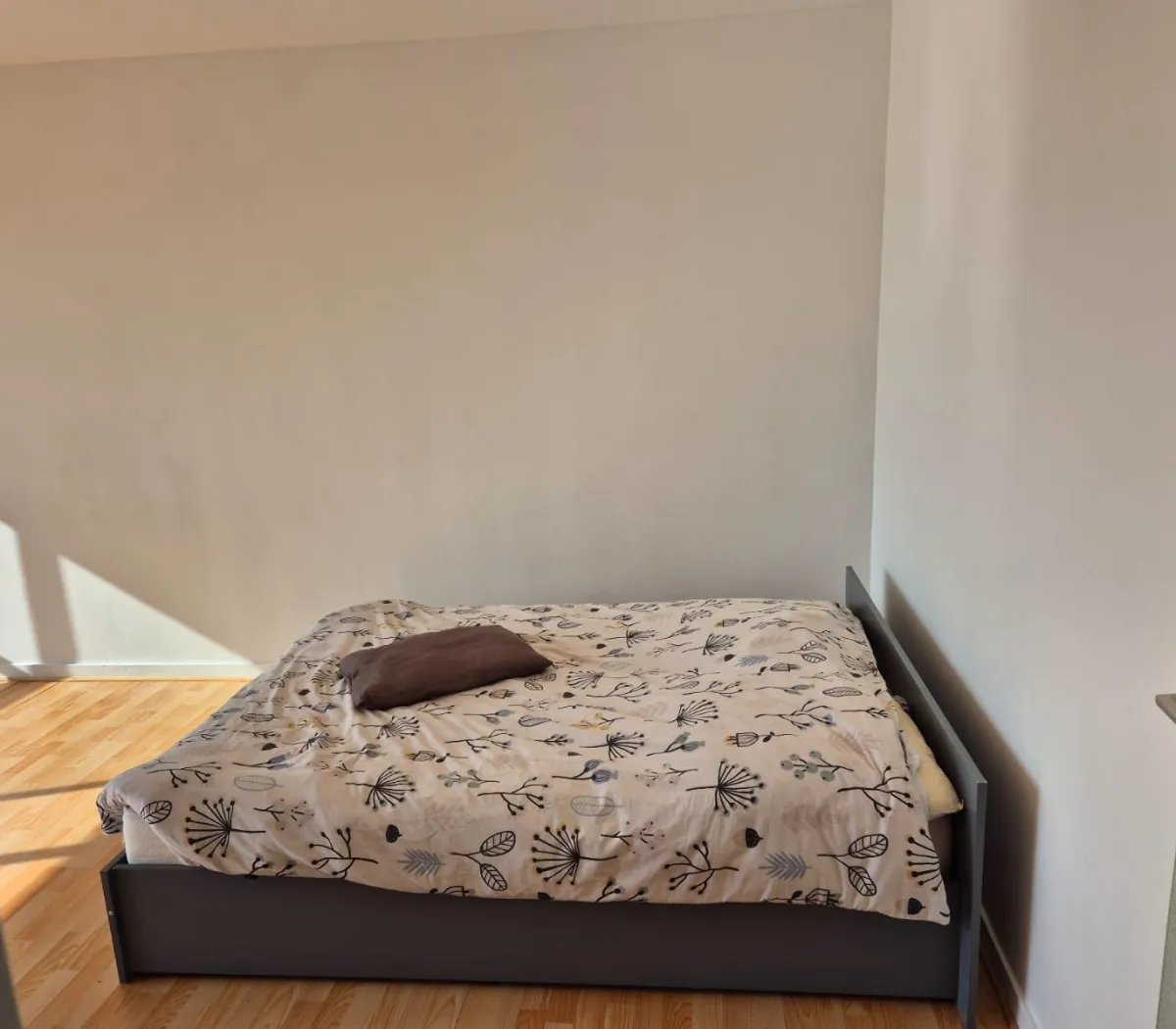 Location Nantes Appartement 67b33985daa3