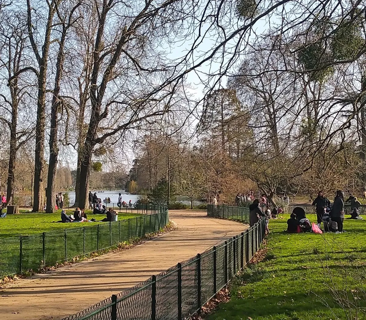 Location Vincennes Appartement 67b62c296ffb