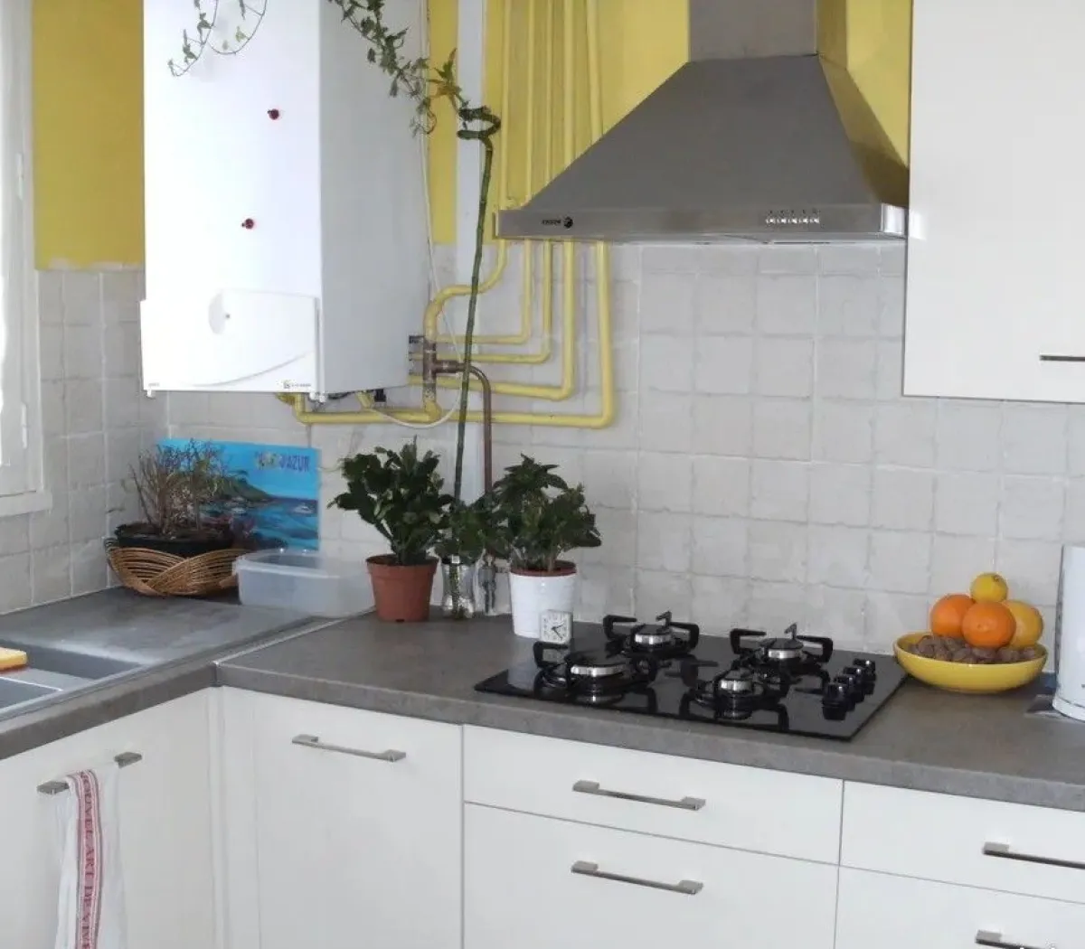 Location Toulouse Appartement 67bdcc843b97