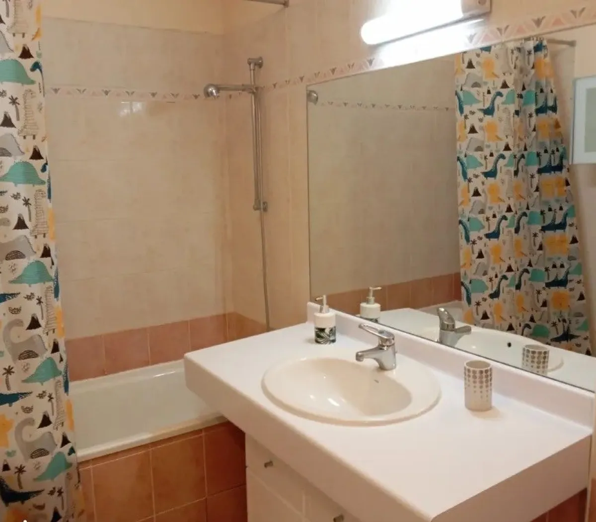 Location Lyon Appartement 67bf0f6d533e