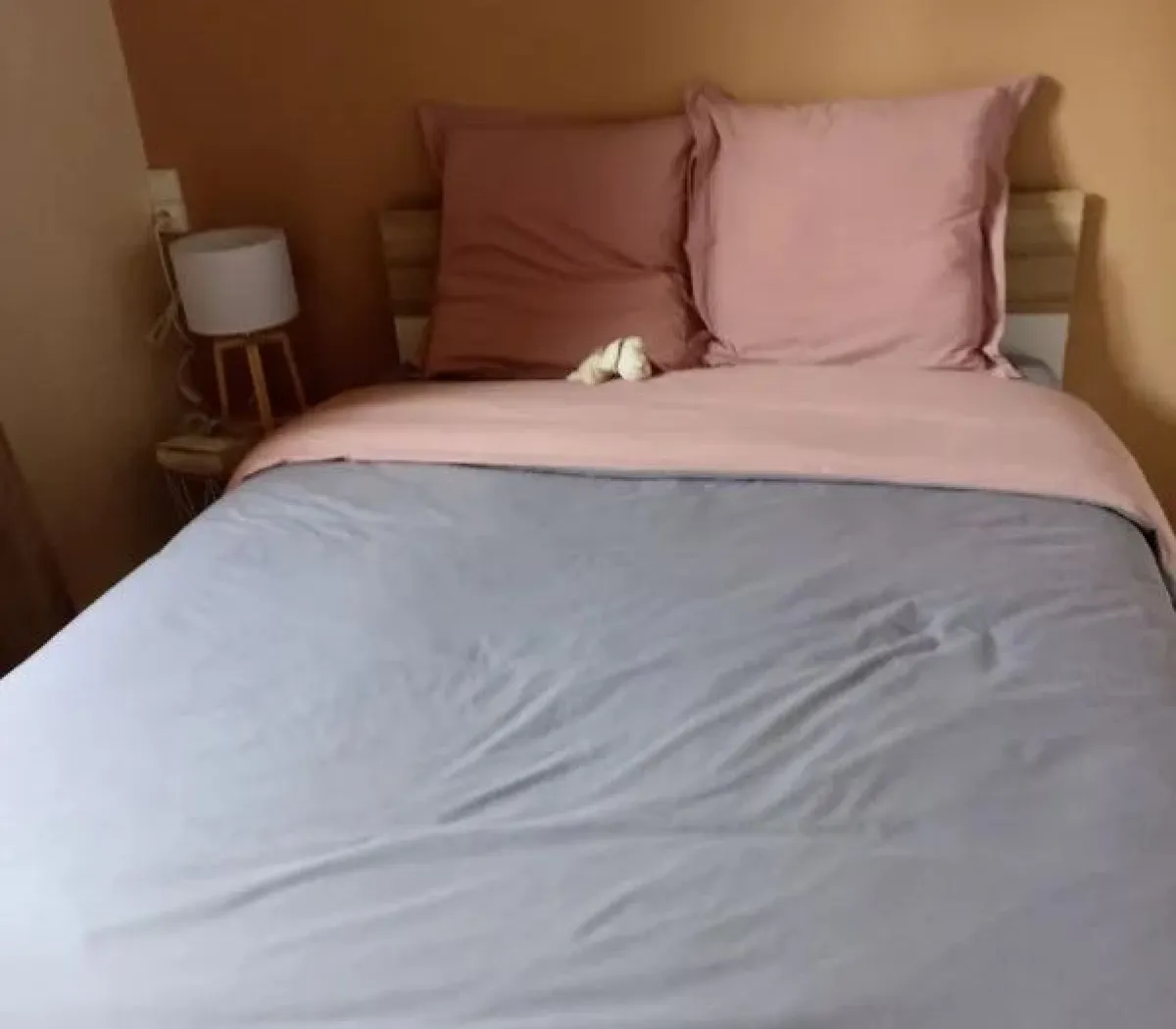 Location Rennes Appartement 67bf15efd0de