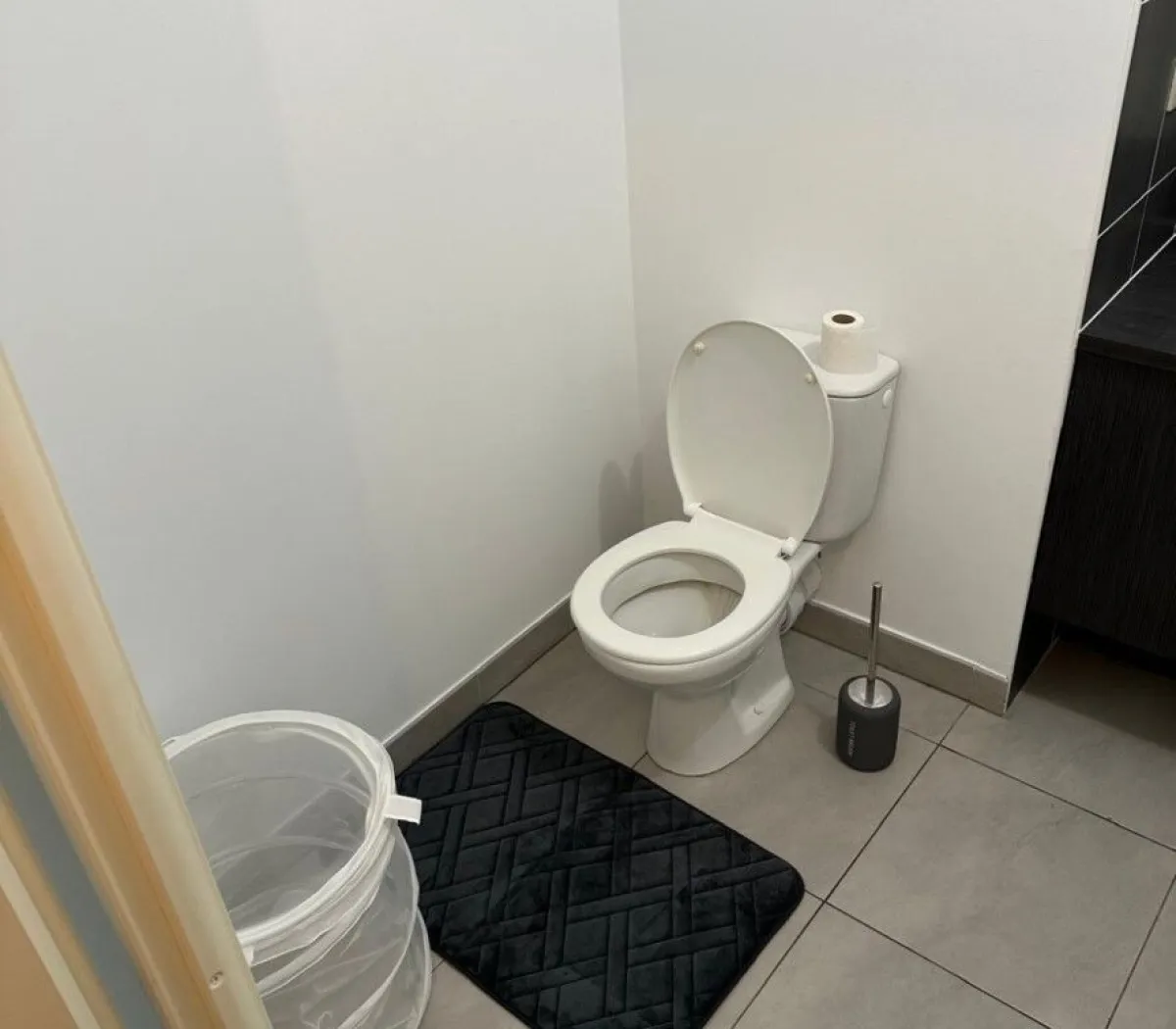 Location Montpellier Appartement 67c075f4e285