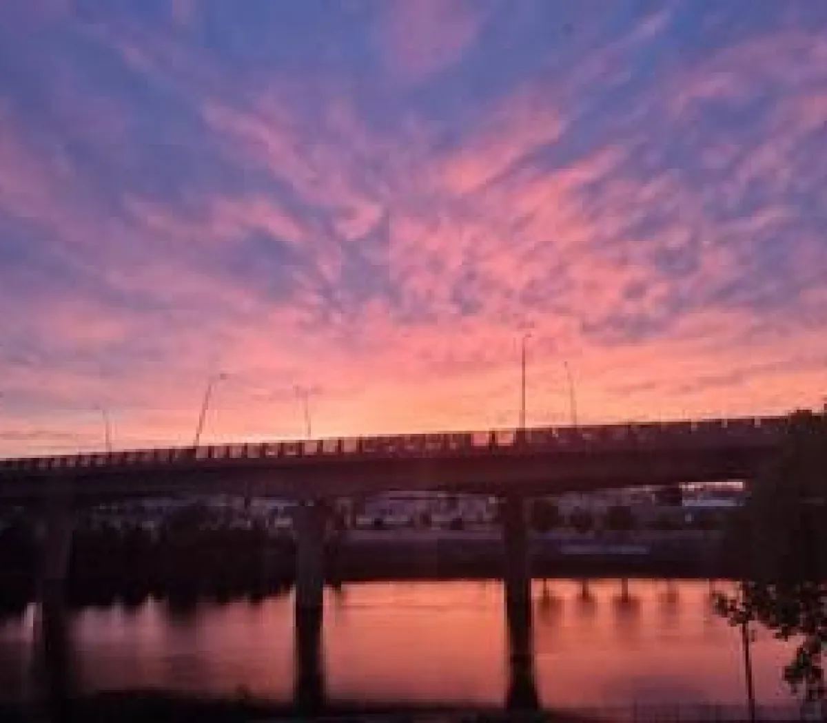 Location Choisy-le-Roi Chambre 67c4518e67e4