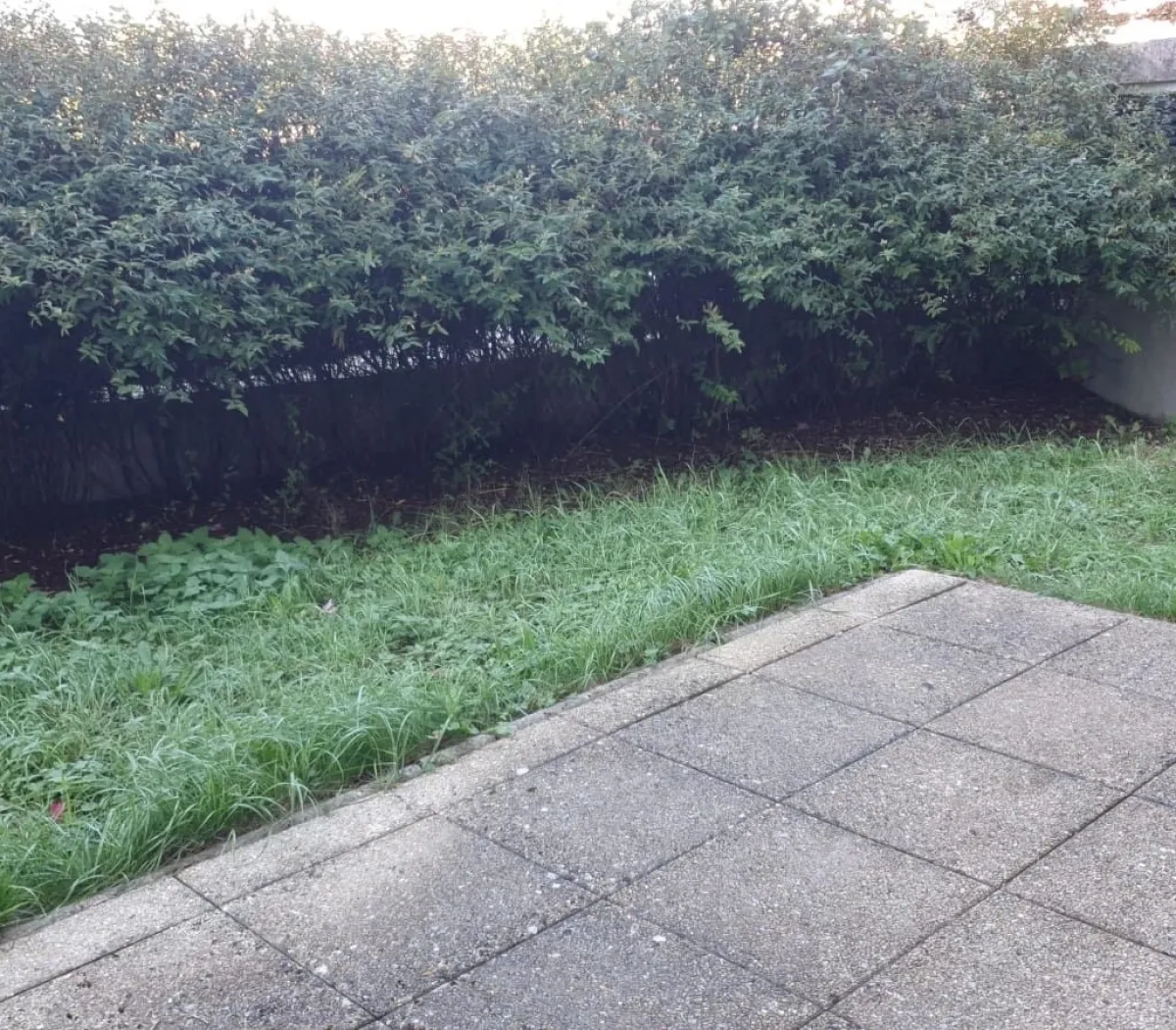 Location Cergy Appartement 67c971a32981