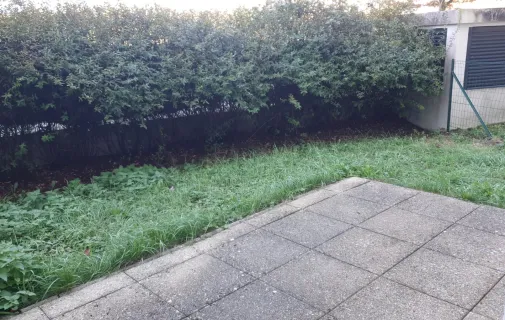 Location Cergy Appartement 67c971a32981