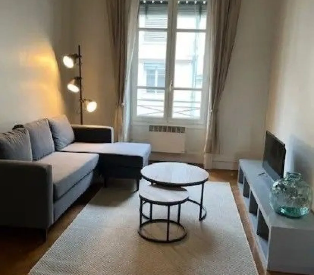 Location Lyon Appartement 67d008437c87