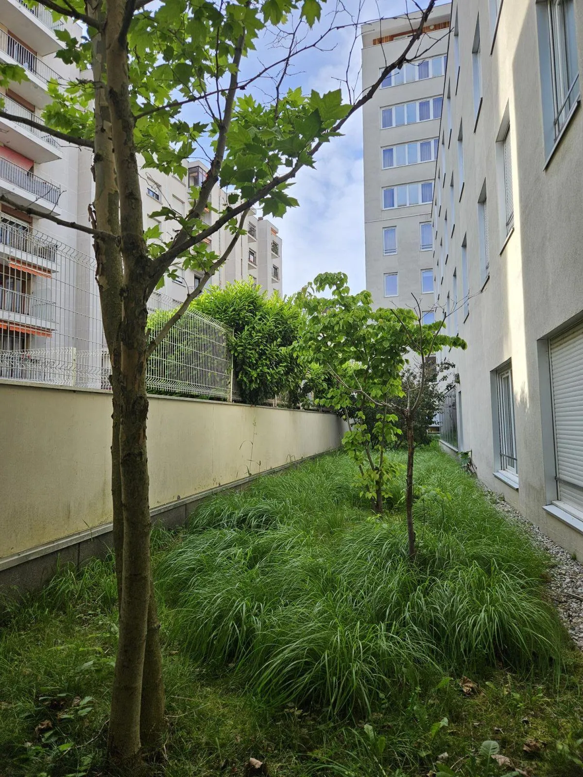 Location Grenoble Appartement 67d70ccf01ff6