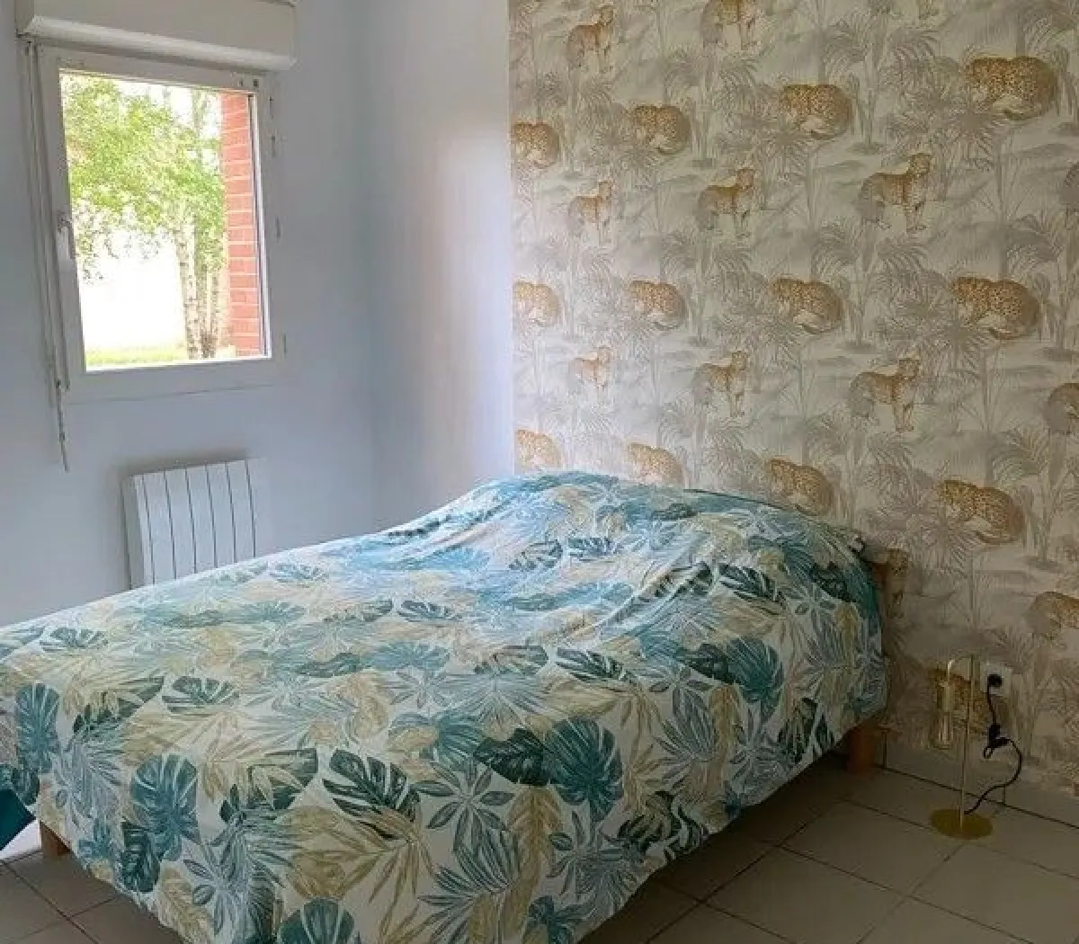 Location Toulouse Appartement 67d7eb566441