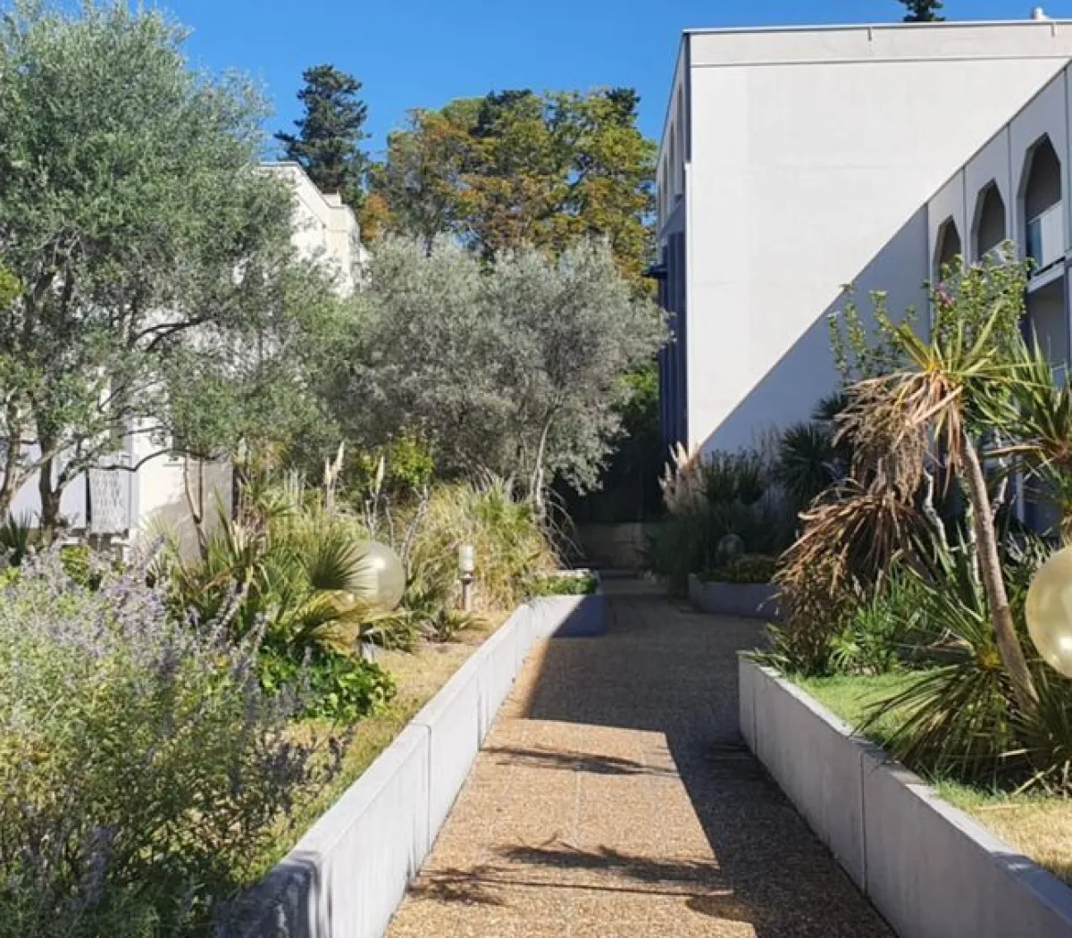 Location Montpellier Appartement 67daef976ef6