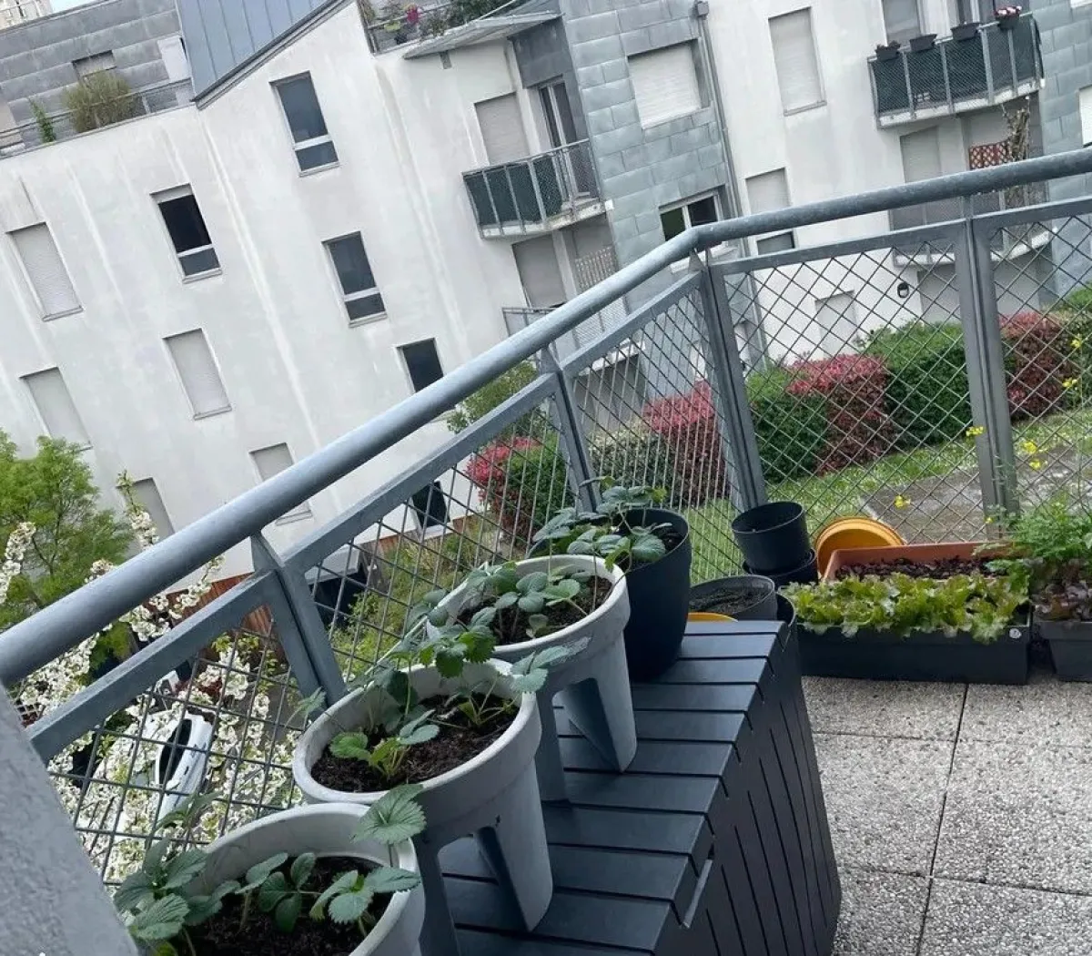 Location L'Haÿ-les-Roses Appartement 67e280bf0150