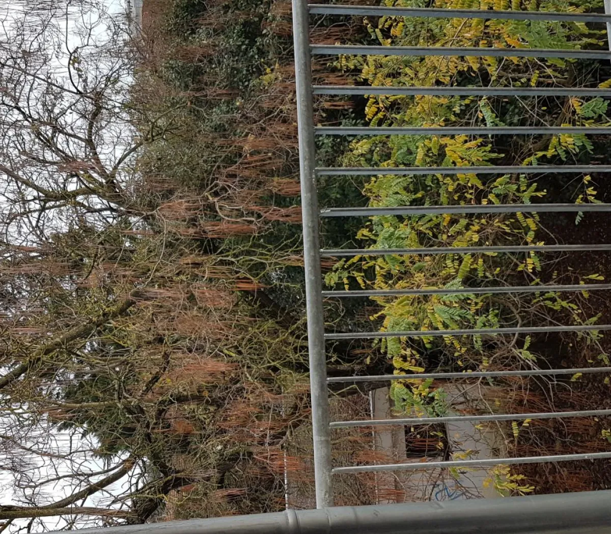 Location Toulouse Appartement 67e43c6a2ebd