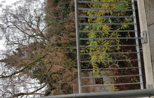 Location Toulouse Appartement 67e43c6a2ebd