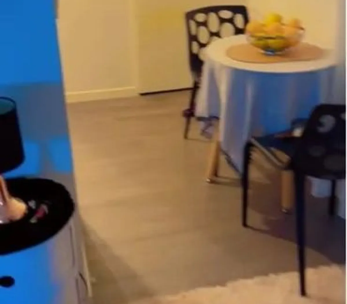 Location Villeurbanne Appartement 67e65fa6df47