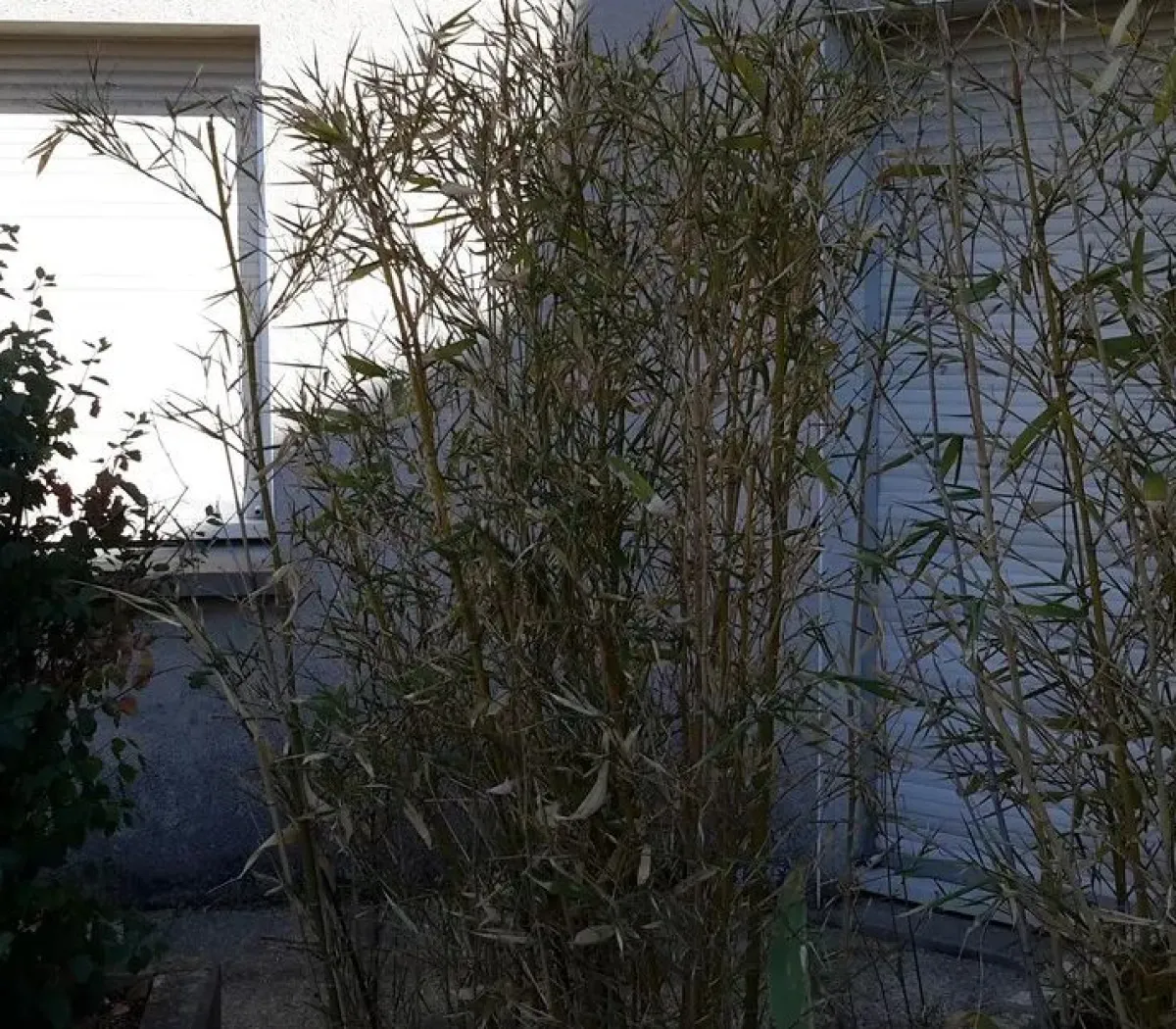 Location Angers Appartement 67ea5cffbbf7