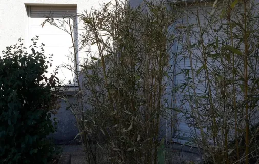 Location Angers Appartement 67ea5cffbbf7