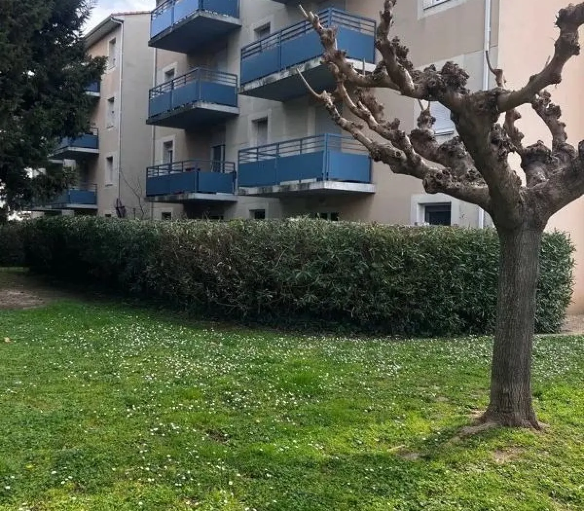 Location Avignon Appartement 67ea89c12f9d