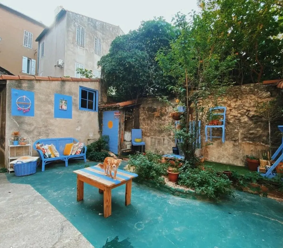 Location Marseille Appartement 67ebf06711cf