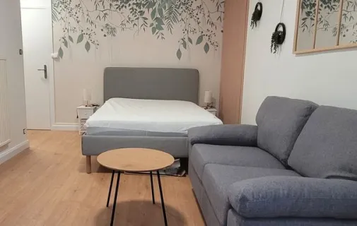 Location Nancy Appartement 67ef9fe17630