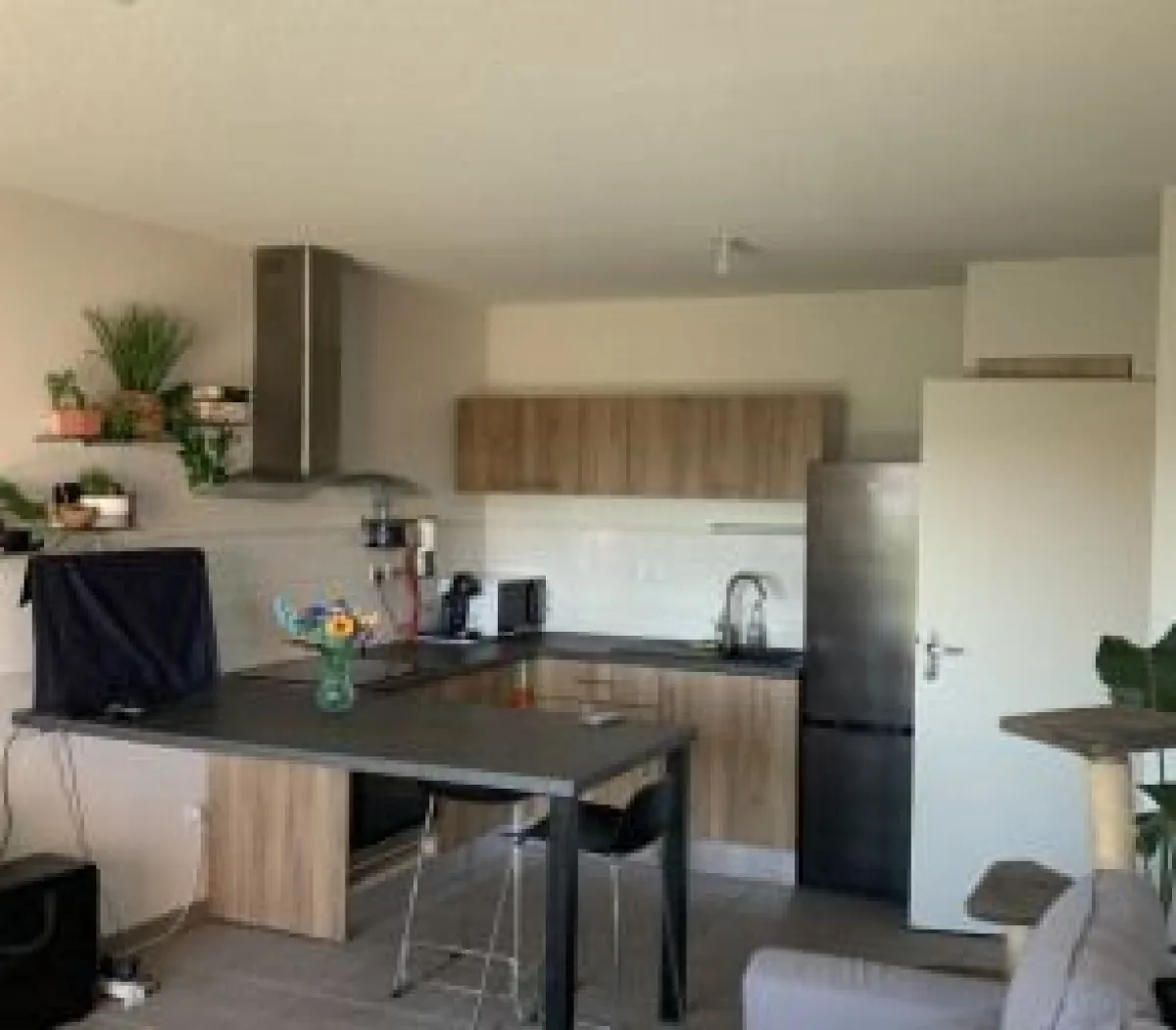 Location Toulouse Appartement 67efa7f7de16