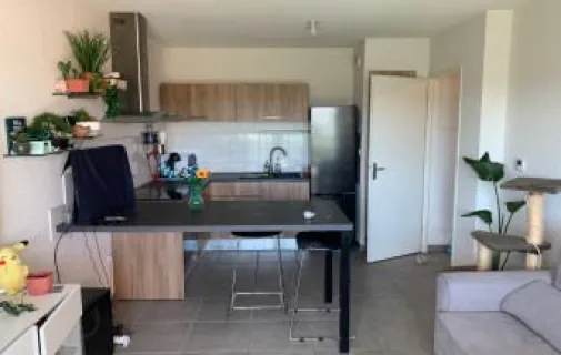 Location Toulouse Appartement 67efa7f7de16