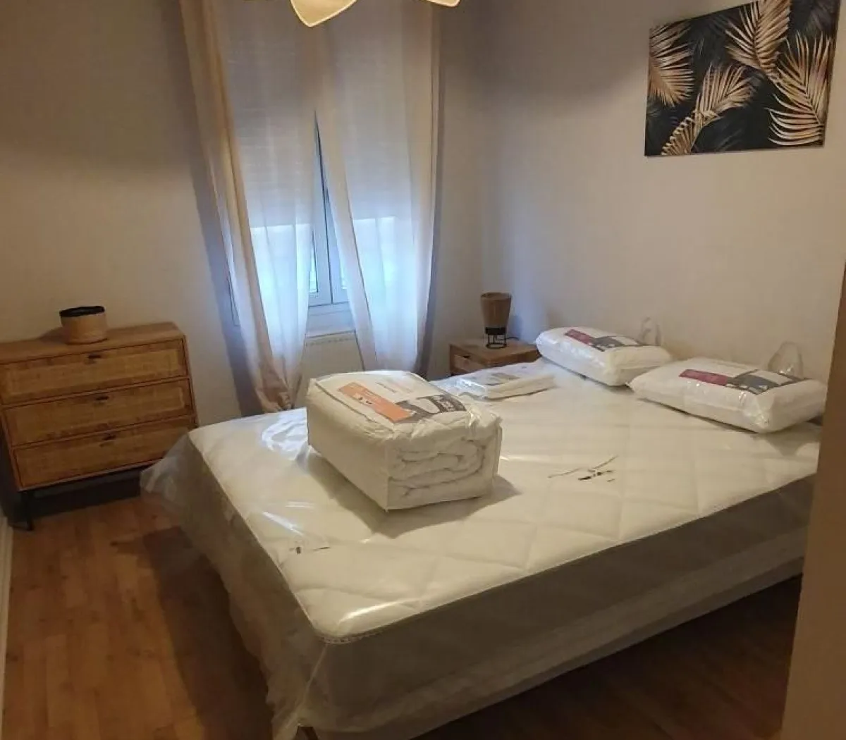 Location Villeurbanne Appartement 67efadf6abd5