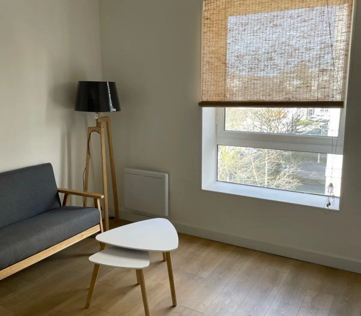 Location Nantes Appartement 67f157a0b02b