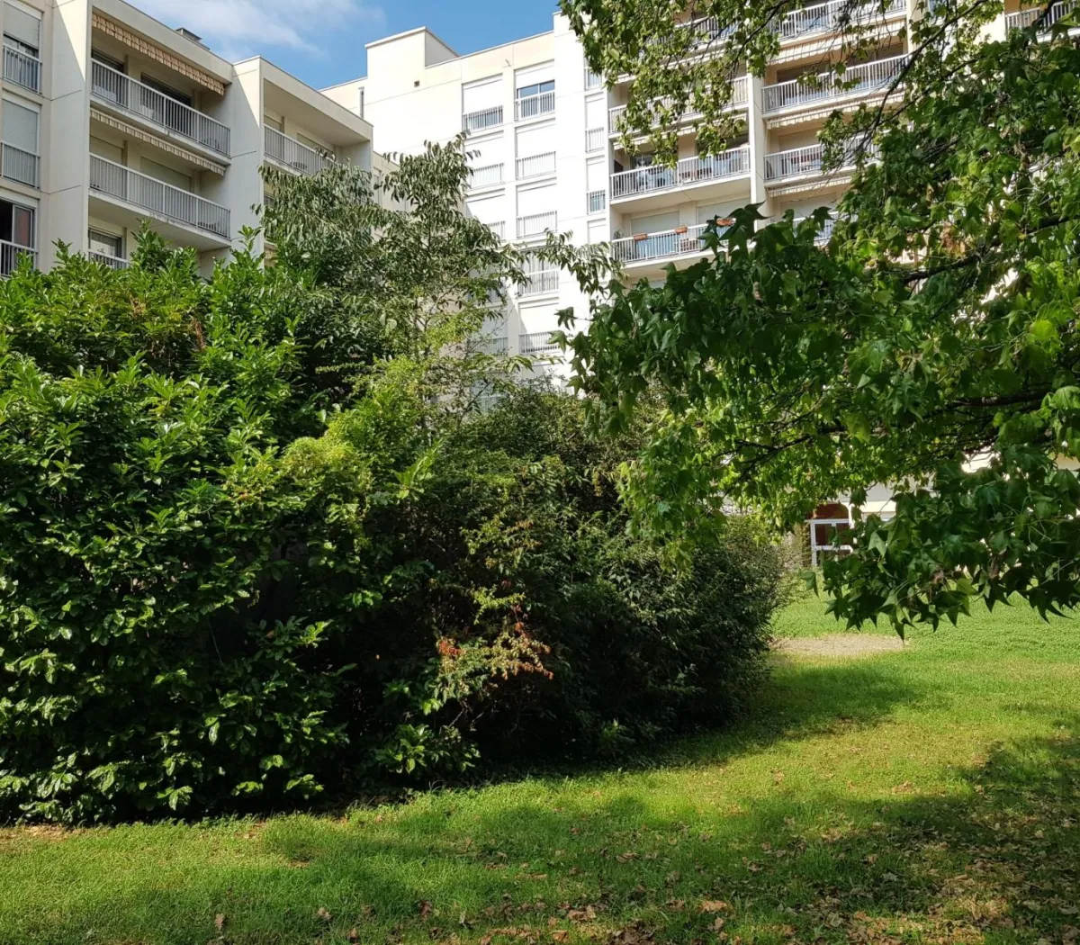 Location Lyon Appartement 67f223b4b41e