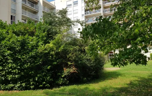 Location Lyon Appartement 67f223b4b41e