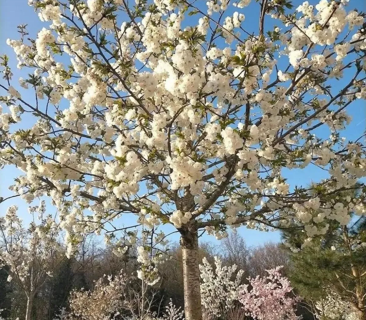 Location Neuilly-sur-Marne Chambre 67f58b642bbe