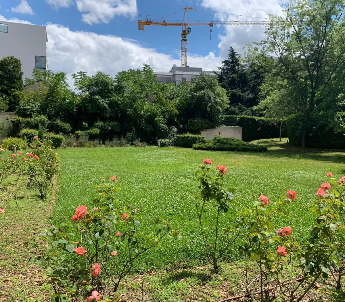 Location Lyon Appartement 67fa9eaf1bdc