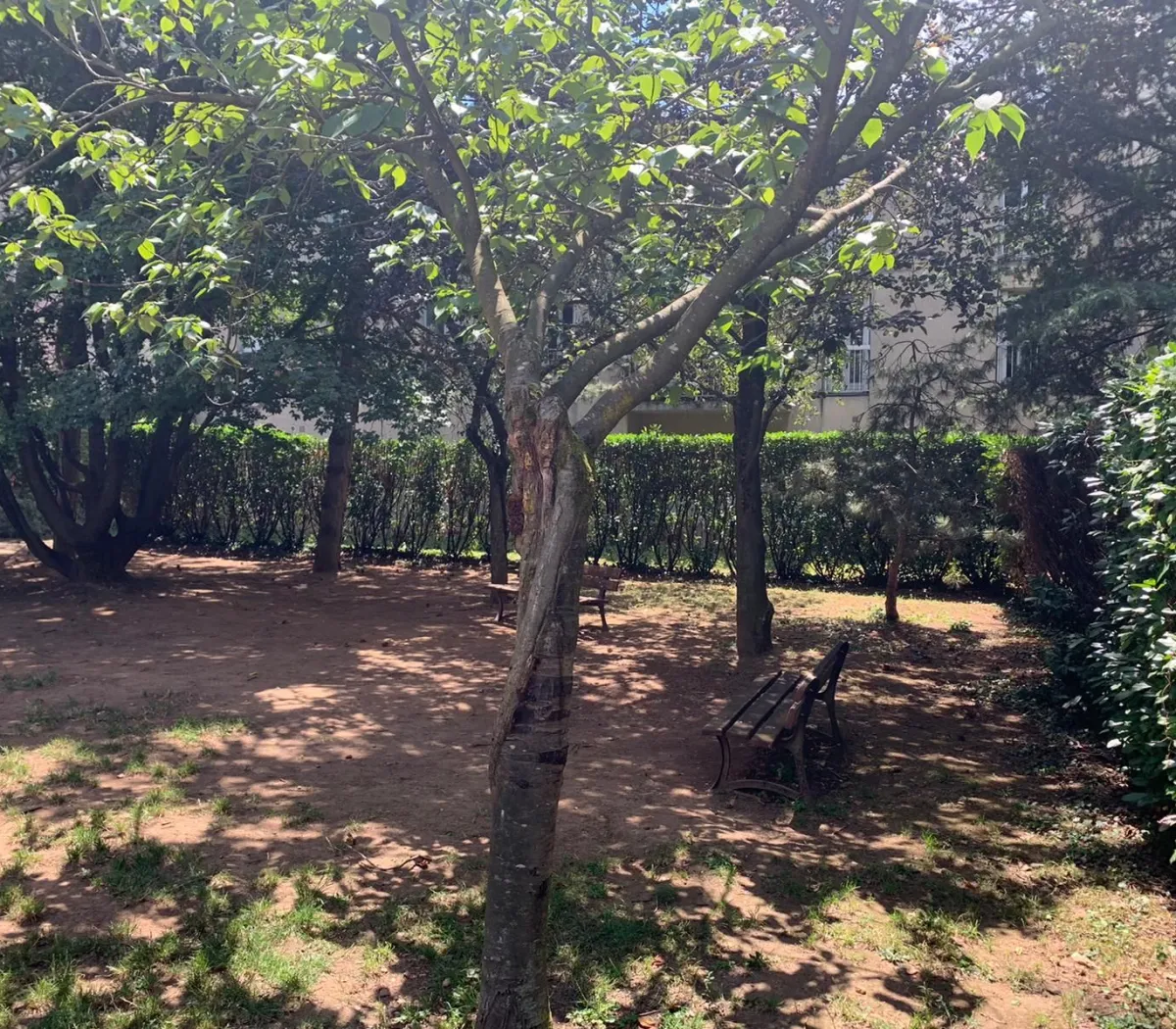 Location Lyon Appartement 67fa9eaf1bdc