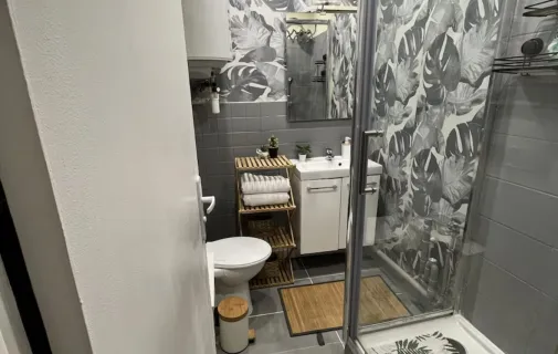 Location Saint-Étienne Appartement 67fcd99bf3fe
