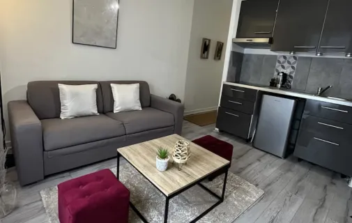 Location Saint-Étienne Appartement 67fcd99bf3fe