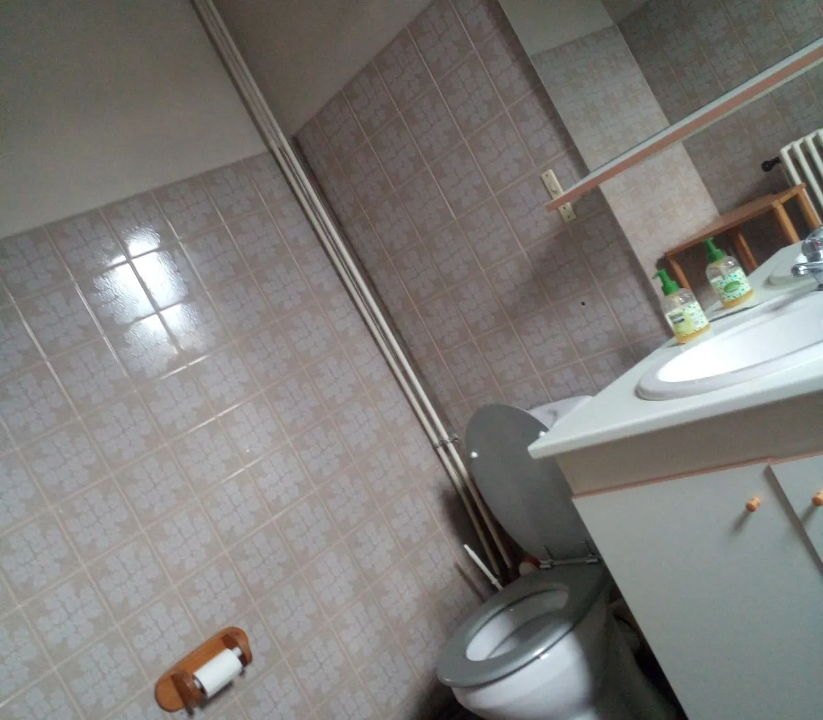 Location Saint-Étienne Appartement 67fd20f90ec9