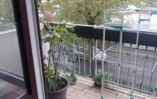 Location Champigny-sur-Marne Appartement 67ffc0602f32