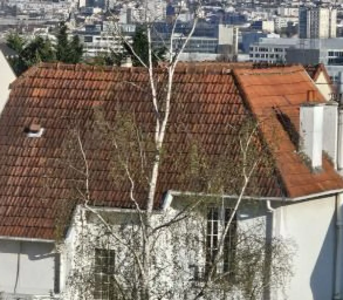 Location Chatou Appartement 6804daf7a8a4