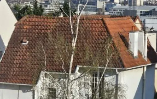 Location Chatou Appartement 6804daf7a8a4