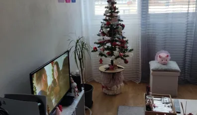 miniatureLocation Nancy Appartement 680decd687ae2