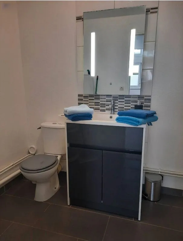Location Reims Appartement 680f42c055a33