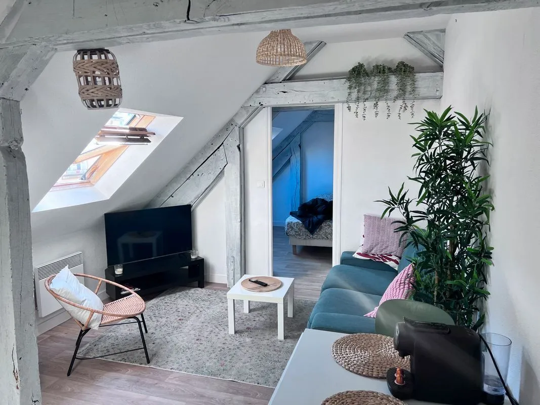 Location Rennes Appartement 6810a5e20f70