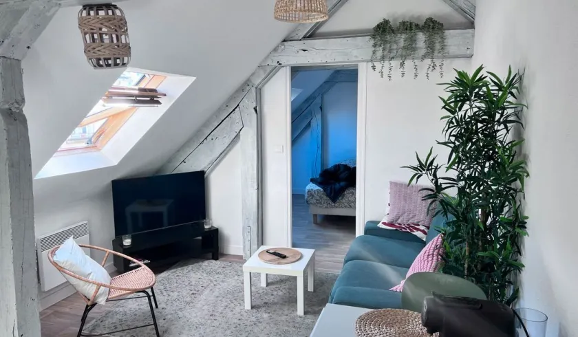 Location Rennes Appartement 6810a5e20f70
