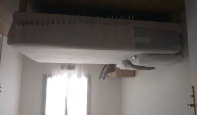 miniatureLocation Lyon Appartement 6812412a336f2