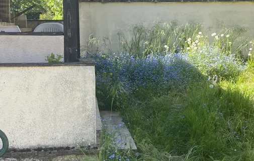 Location Paris Appartement 6815e1052ea1