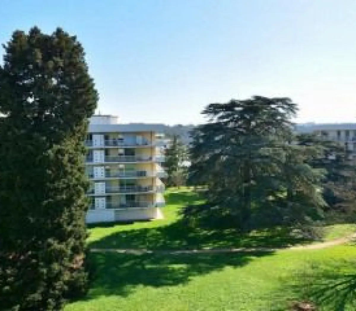 Location Lyon Appartement 68200f99556d