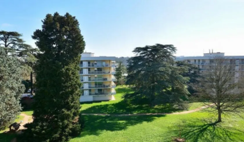 Location Lyon Appartement 68200f99556d1
