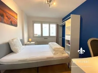Location Villeurbanne Chambre 6821ff48871f3
